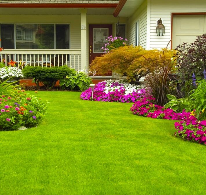 Benefits of Perennial Gardening
